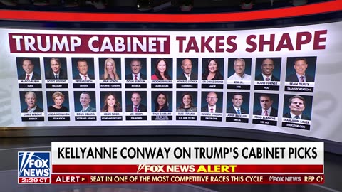 Kellyanne Conway Democrats aren't over their Trump Derangement Syndrome