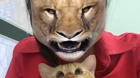 Animals SOO Cute! Super Cute Cats and Funny Dogs