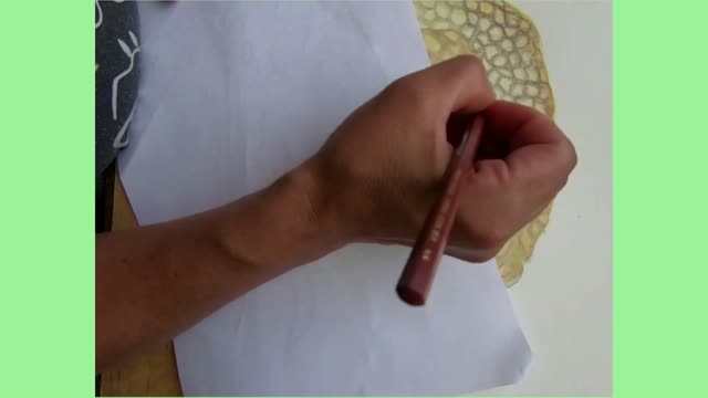 RAYA DE RÍO