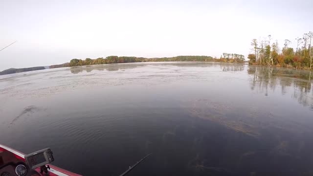 FISHING UNDER A HOUSE