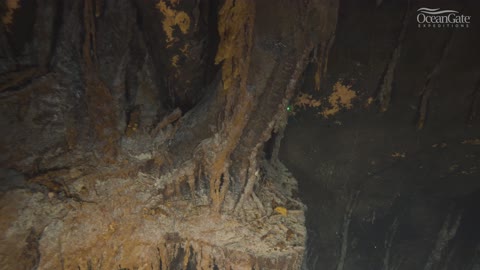 New footage of the Titanic ("unsinkable ship") on Ocean's Floor