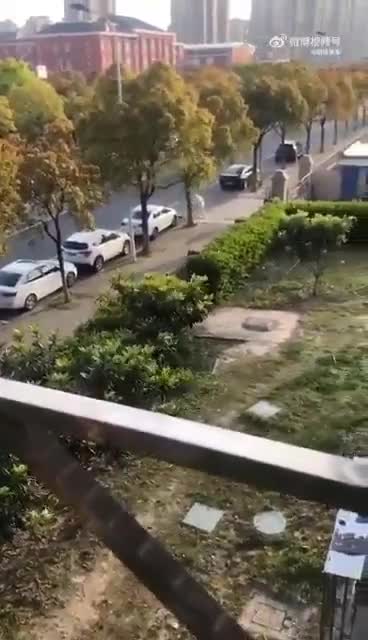 CCP BrutalityExposed _Watch _ A Covid worker beat a dog to death in Shanghai after its owner tested