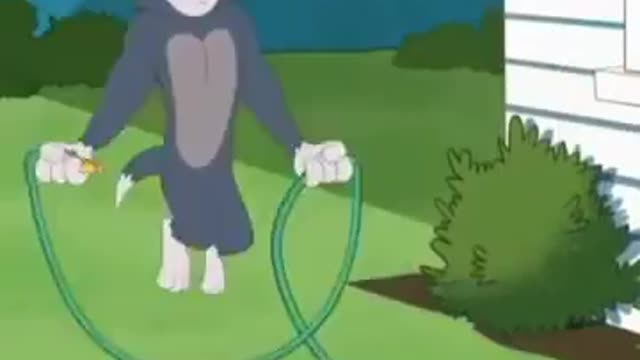 yt1s.com - Never give up tom and jerry motivation shorts speaks