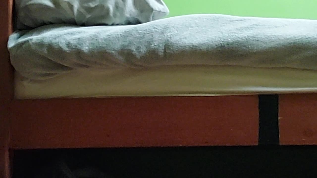 100 Push Ups Copy Aikido
