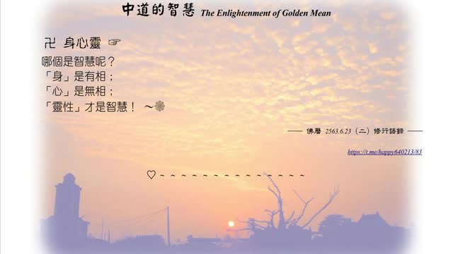 089【身心靈哪個是智慧呢？】630623