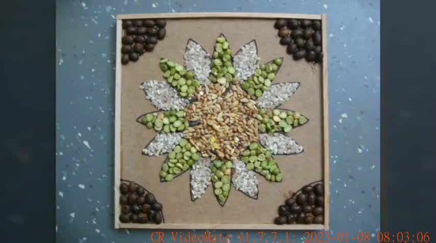 latest funky diy dried pulses craft for kids