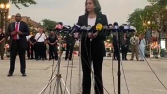 Kamala Launches into Bizarre, Incoherent Anti-Gun Rant in Highland Park