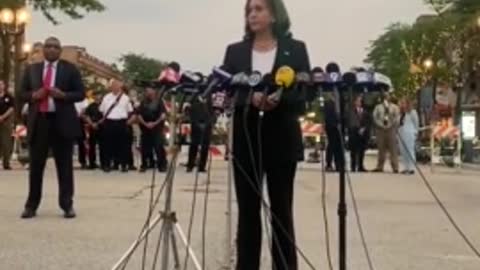 Kamala Launches into Bizarre, Incoherent Anti-Gun Rant in Highland Park