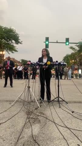 Kamala Launches into Bizarre, Incoherent Anti-Gun Rant in Highland Park