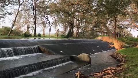 Nature Sri Lanka Beautifull