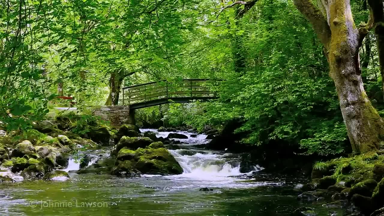 Relaxing Nature Sounds for Sleeping - Natural Calm Forest Waterfall Music Meditation Sound for Study