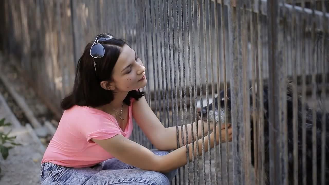 Girl volunteer in the nursery for dogs. Shelter for stray dogs