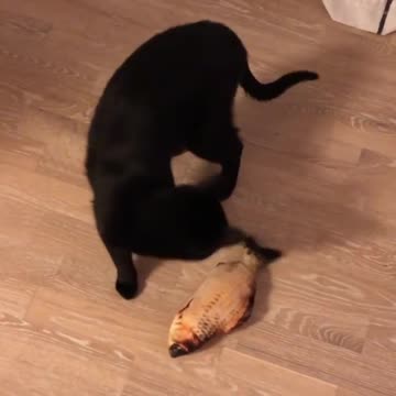 This Cat Is Literally Trying To Kill A Catnip Fish