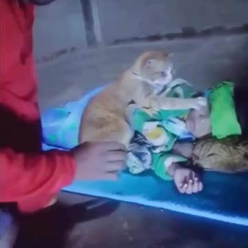 "Reaching for Healing: A Heartfelt Moment of Hope and Recovery"