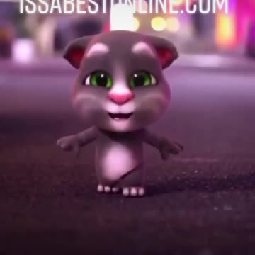 cats sing,singing cat