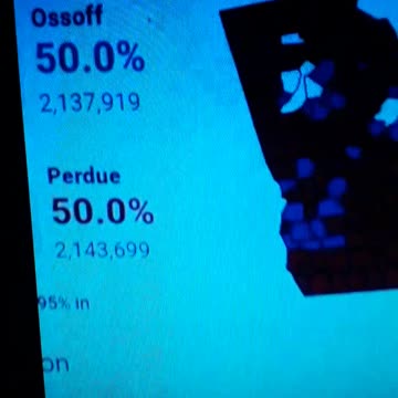 INTERNATIONAL WIDE ELECTION FRAUD VOTING MACHINE CRIME, GEORGIA RUNOFF SHAM ELECTION CRIME 162