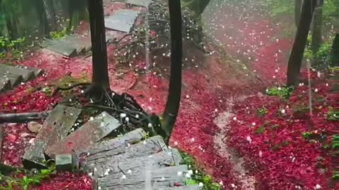 Awesome mausam