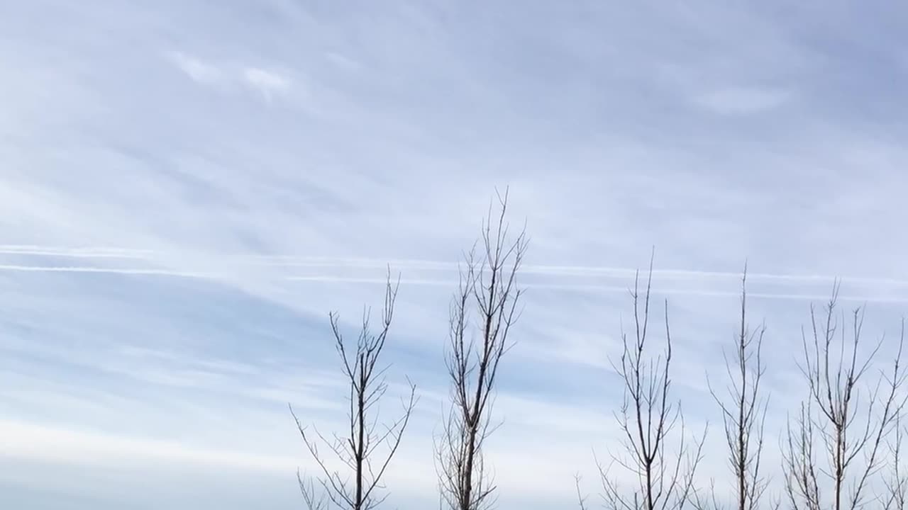 Chemtrails 11/9/24 five