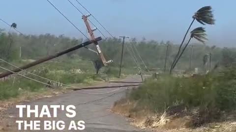 Maui Fires - Power Lines Fall