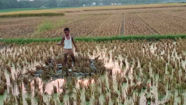 Village Boy Fishing