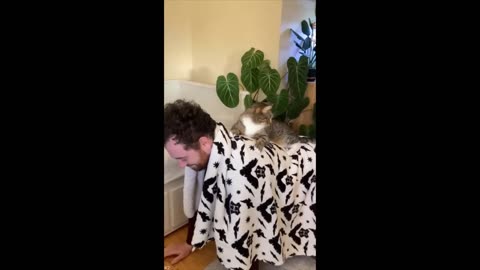 Funniest Cats And Dogs Videos 😁 - Best Funny Animal Videos 2024 🥰#8