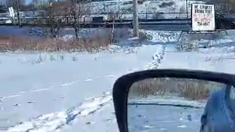 Freedom For Nova Scotia