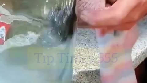 Miniature Video