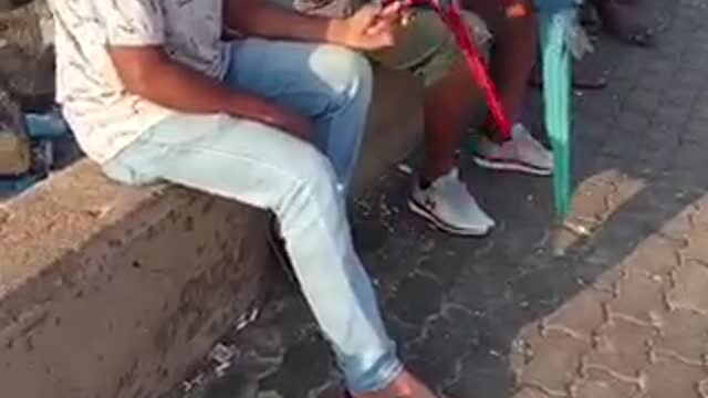 Animals lover