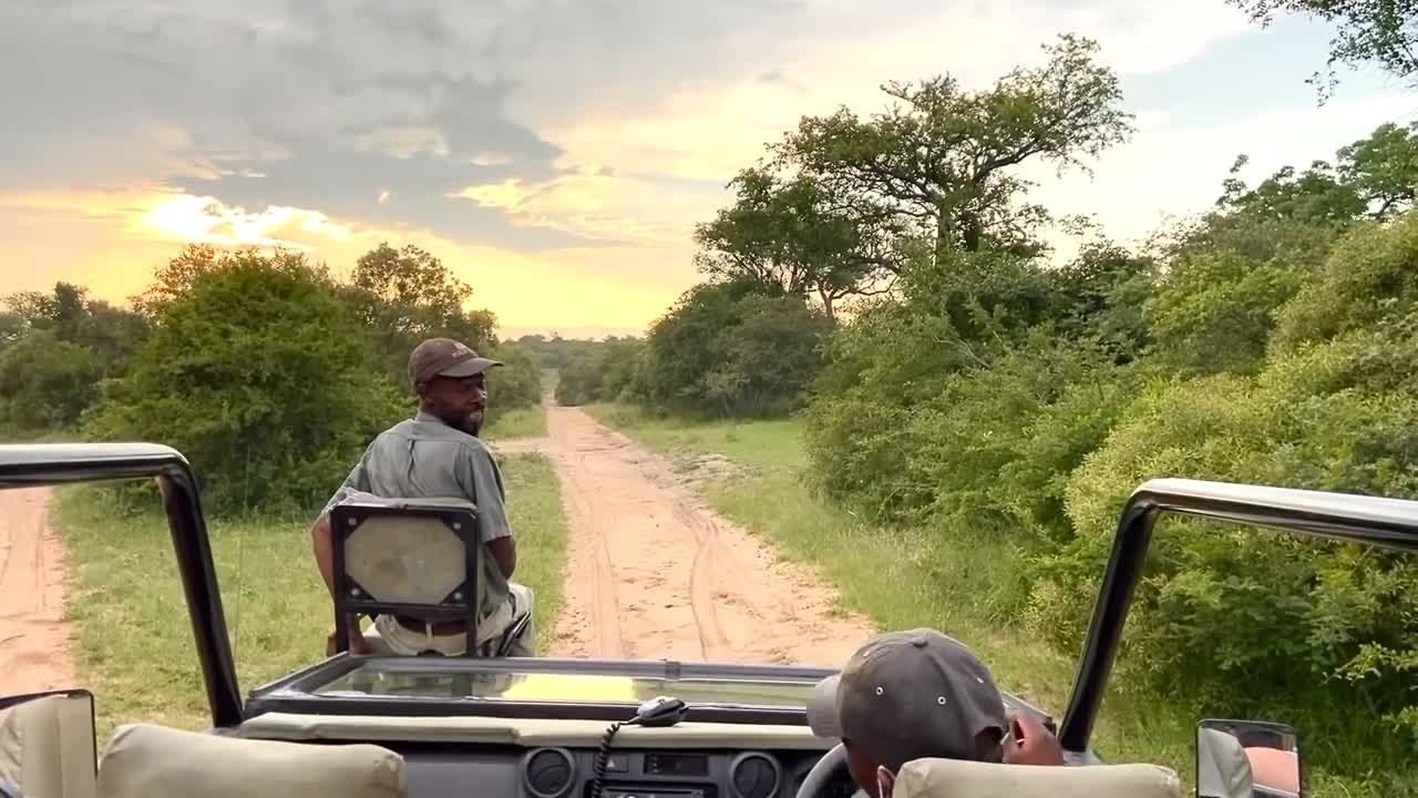 Angry Elephant Charges Safari Guide | Big 5 in Africa | Extended Film