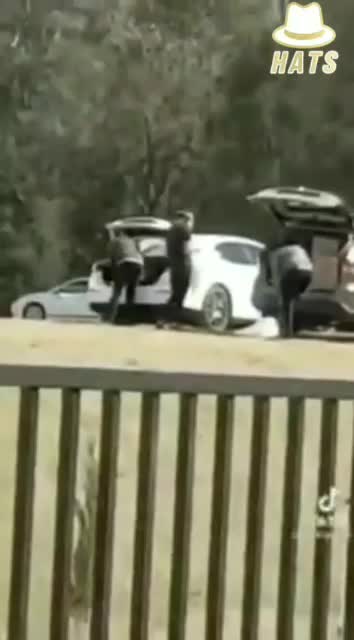 המגיפה המזויפת אפילו הבודקים לא מאמינים בה אין סטרליות והבגדים לא נזרקים לפח