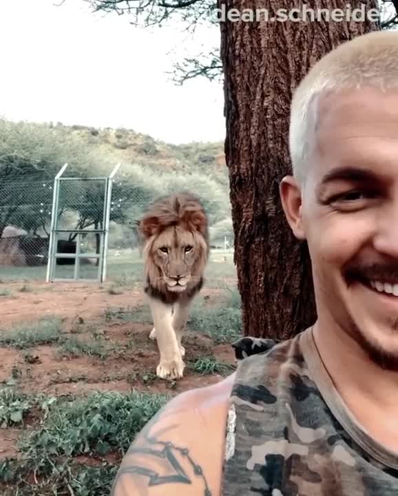 This Is How Daniel Was In The Lions Den