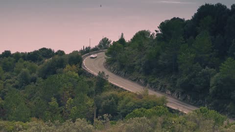 La Belle Vie By Christopher Guy