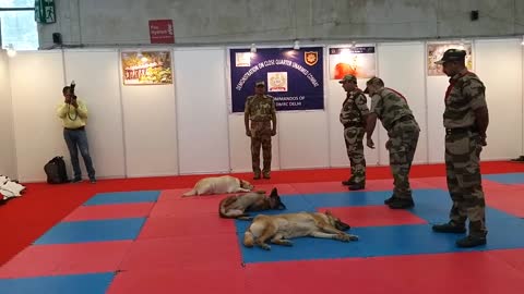 CISF demonstration of Dog Squad