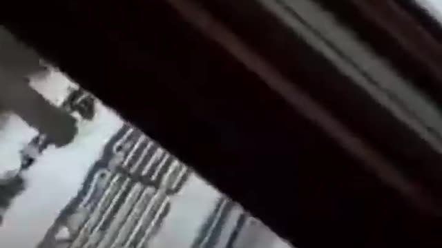 Ron sneezes and scares deer