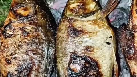 Nasi liwet dengan ikan bakar