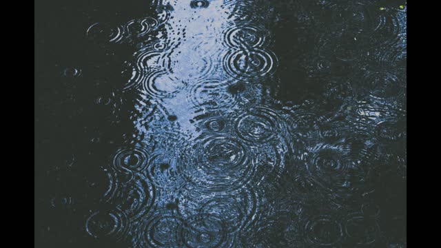 4 Hours of Light Rain that Helps you Fall Asleep Faster, Relax, Study and Destress