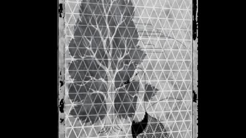 Lines of the Soul Exploring Identity through Art Drawing
