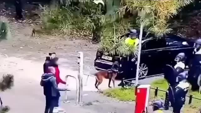 POLICE DOG STOPS TYRANT POLICEMAN