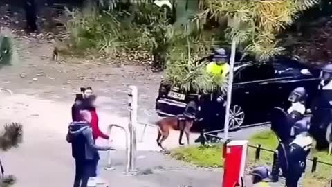 POLICE DOG STOPS TYRANT POLICEMAN