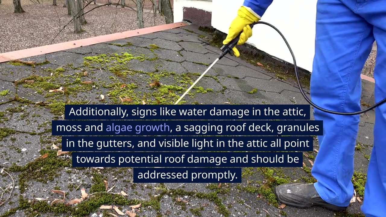 9 Signs of Roof Damage