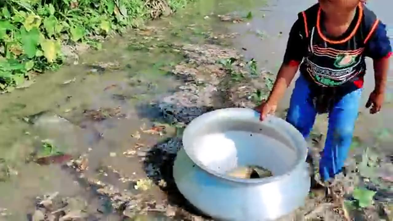 Amazing Boy Catching Fish By Hand | Traditional Little Catching Big Fish By Hand in Mud Water