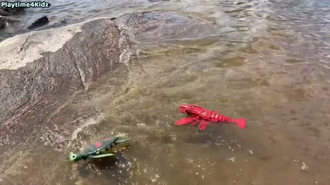 Sea Animal Toys This Summer at the Shore