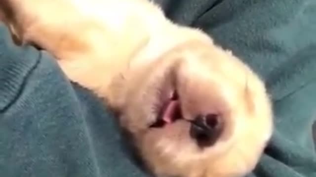 sleep like baby