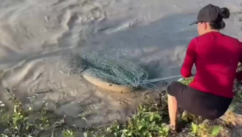 Fish video