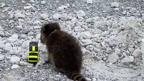 He wants to help out