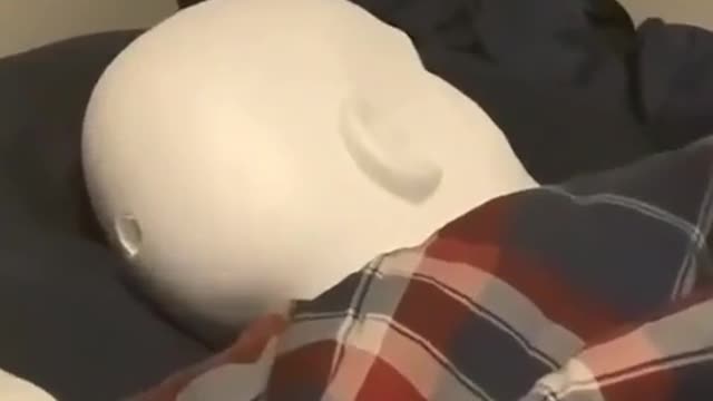 paul wake up it's time to go to school