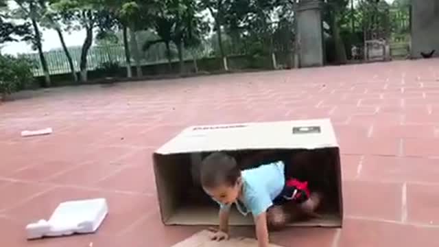 Lovely kids in the box