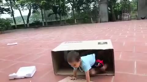 Lovely kids in the box