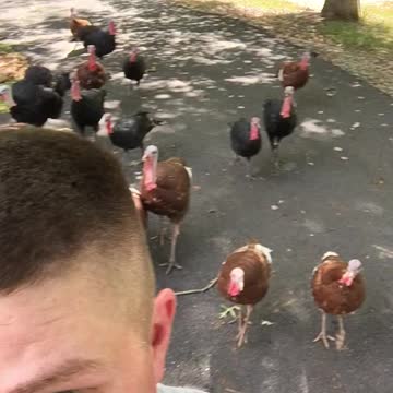 You ever feel like your being followed???