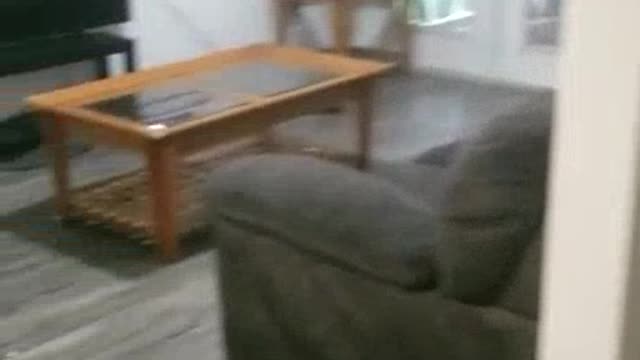 My dad turned into ghost !!